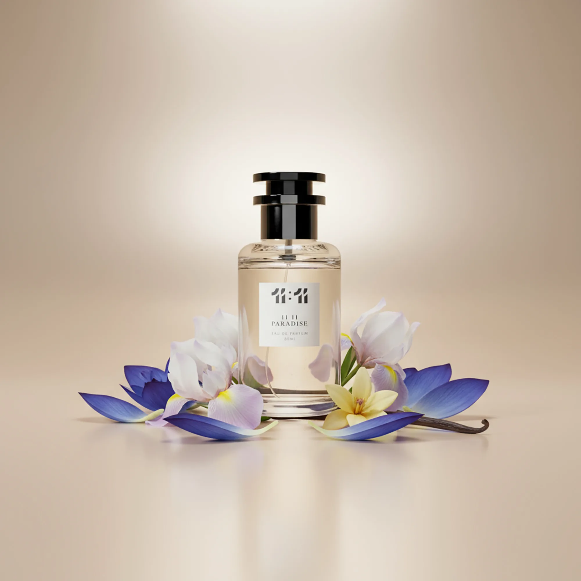 ⁦11 11 بارادايس⁩ - الصورة ⁦2⁩