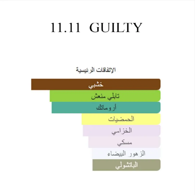 11 11 تاوانبار - وێنە 5