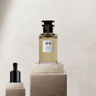 11 11 ئەبسۆلۆ