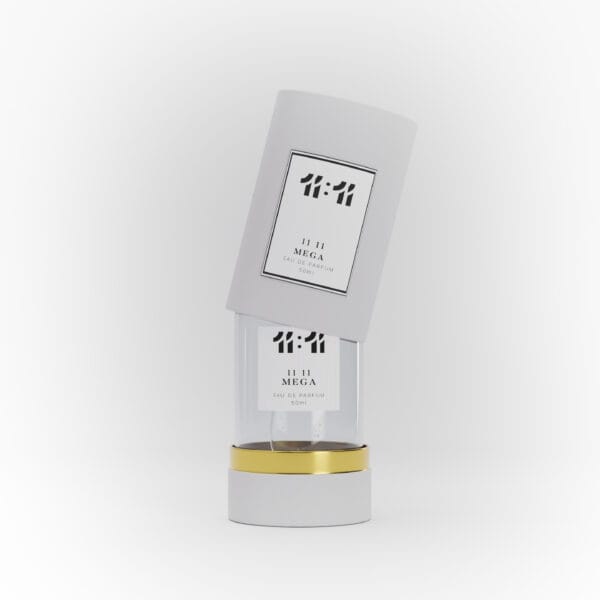 11 11 Mega - وێنە 3