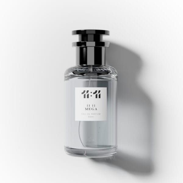 11 11 Mega - وێنە 2