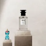 11 11 بارادايس