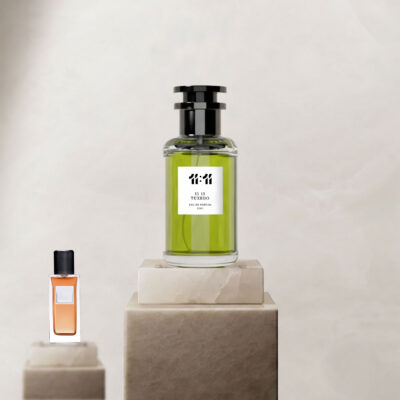 11 11 توكسيدو